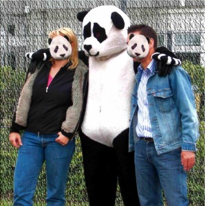 WA Panda 1  