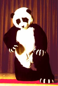 WA Panda 2  